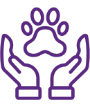 Custom icon