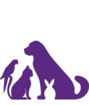 Custom icon